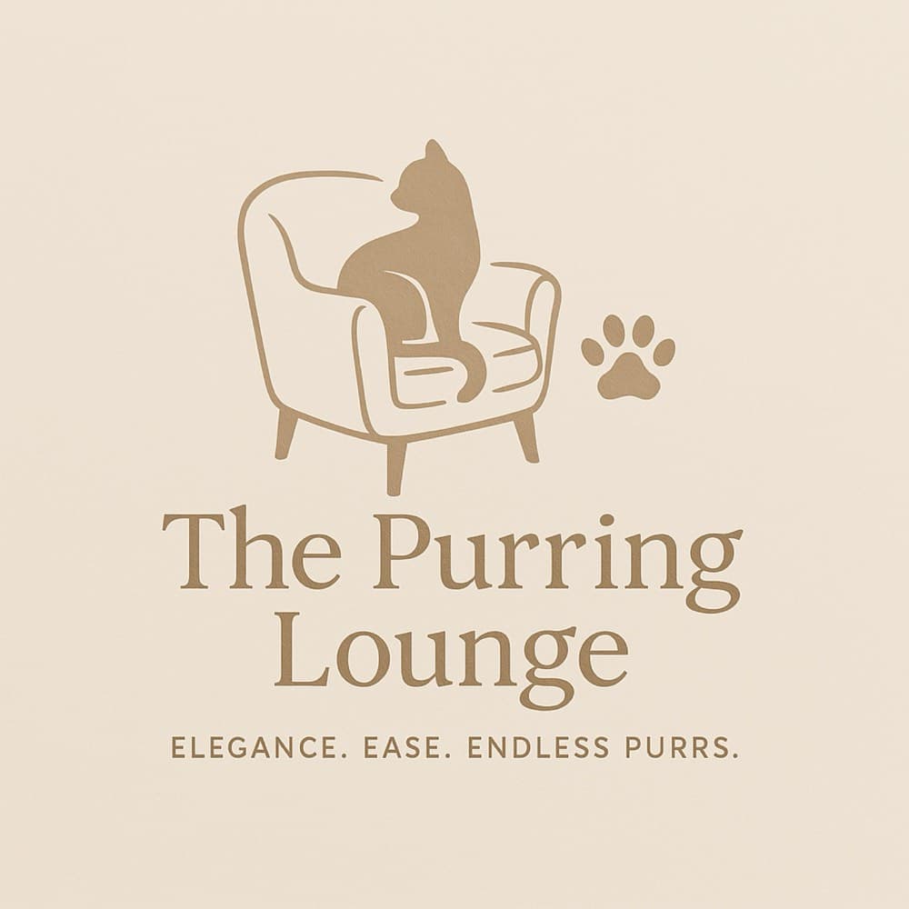 Inside The Purring Lounge in Shela, Ahmedabad
