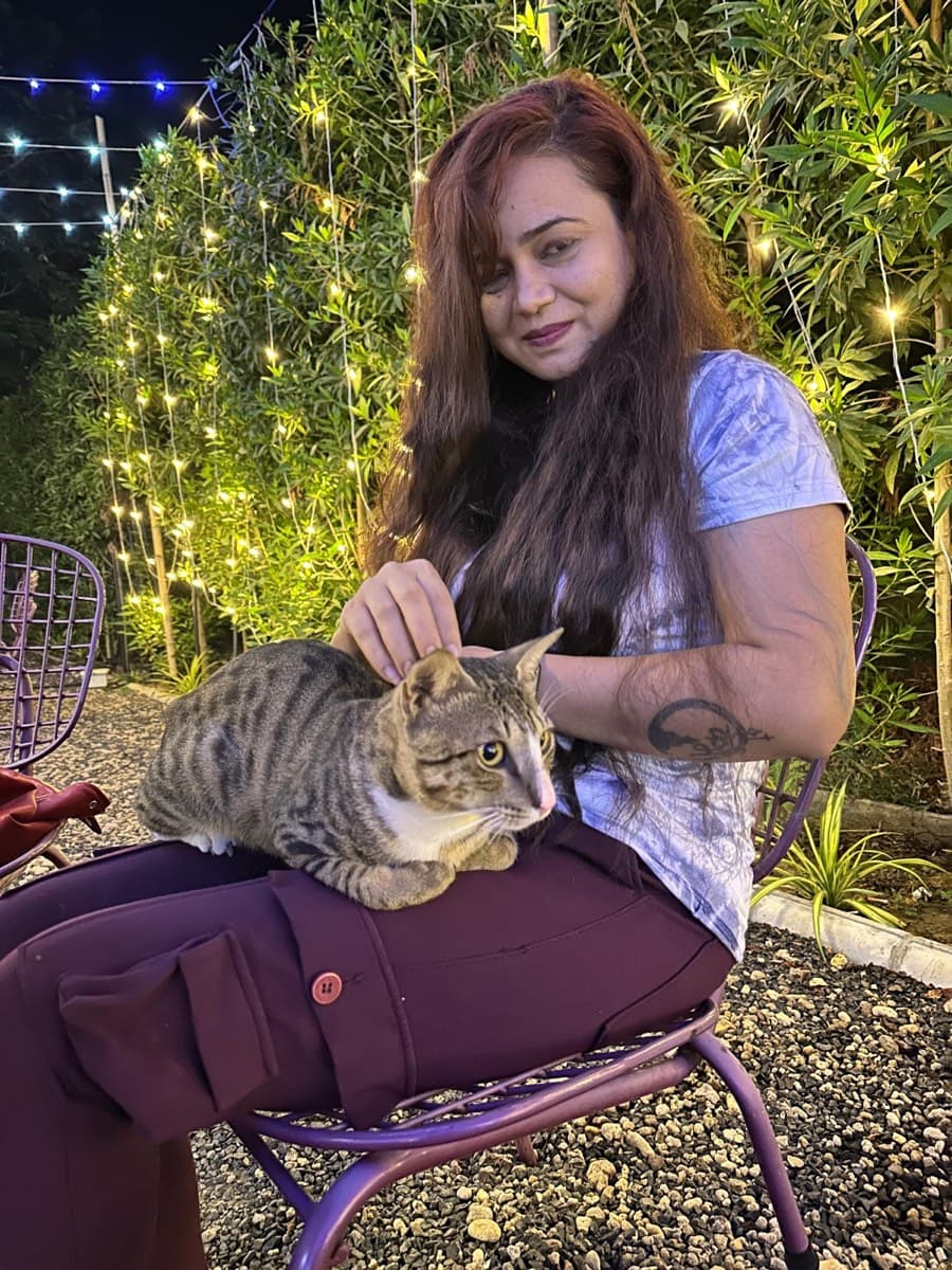 A cat staying at The Purring Lounge