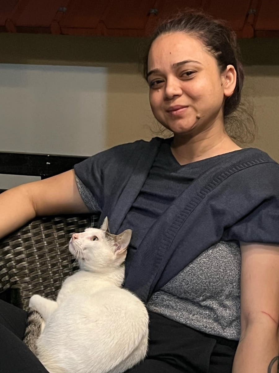A cat staying at The Purring Lounge